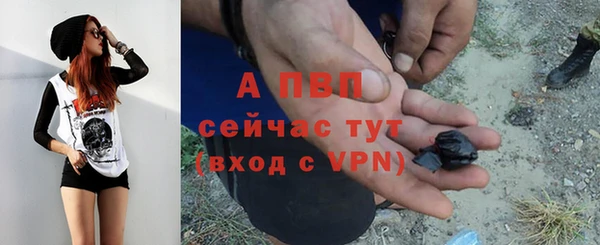 сатива Абдулино
