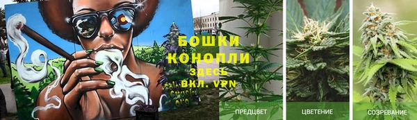 сатива Абдулино