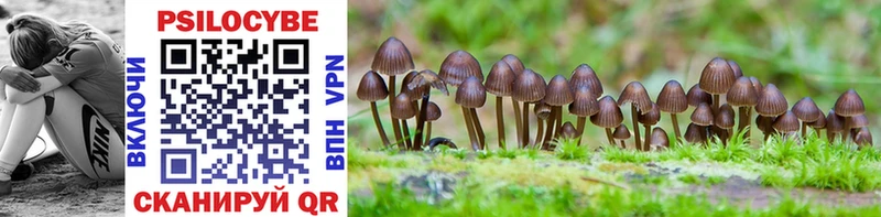 Галлюциногенные грибы Magic Shrooms  Адыгейск 
